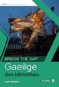 BRIDGE THE GAP IRISH
