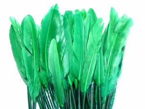 FEATHERS 11CM-14CM GREEN
