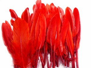 FEATHERS 11CM-14CM RED