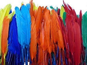 STATPAK CRAFT FEATHERS 250PC