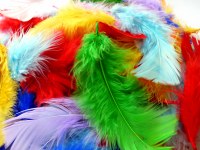 FEATHERS COLLAGE 20g BAG
