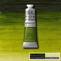 WINTON 37ml SAP GREEN