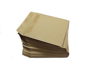 ENVELOPES WAGE PLAIN 100PK