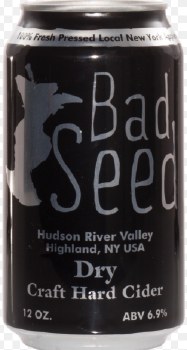 BAD SEED DRY CIDER 4PK