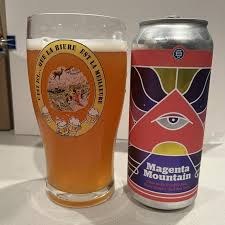 BURLINGTON MAGENTA 4PK