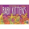 F.O.C. SIMCOE BABY KITTENS 4PK