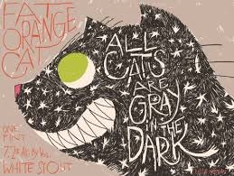 F.O.C. ALL CATS ARE GRAY 4PK
