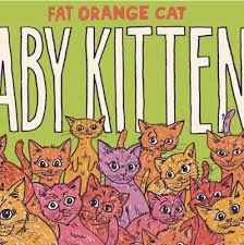 F.O.C. BABY KITTENS 4PK