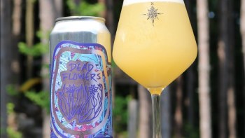 FOAM BREWING DEAD FLOWERS 4PK
