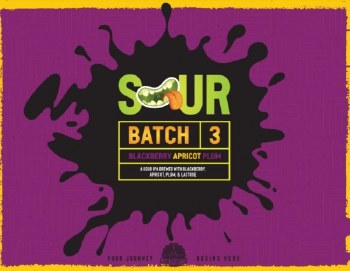 LABYRINTH SOUR BB AP/RASP 4PK