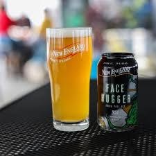 NEW ENG FACE HUGGER 6PK