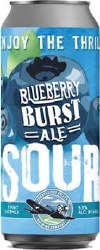 CVB BLUEBERRY BURST SOUR 4PK