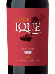 Foster Malbec Ique