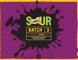 LABYRINTH SOUR BB AP/RASP 4PK