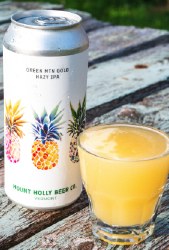 MOUNT HOLLY GOLD IPA 4PK