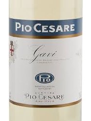 Pio Cesare Gavi