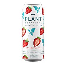 PLANT B STRAWBERRY MINT 4PK