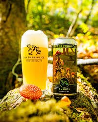 TOX AMANITA IPA 4PK