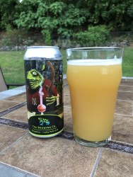TOX FOXGLOVE IPA 4PK