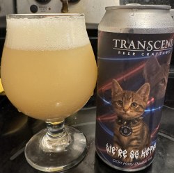 TRANSCEND WE'RE SO METAL 4PK