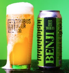TRIBUS BENJI IPA 4PK