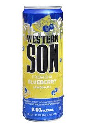 WESTERN SON BLUEBERRY 4PK