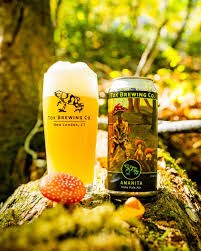 TOX AMANITA IPA 4PK