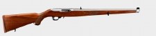 Ruger 10/22 Int SS/WD