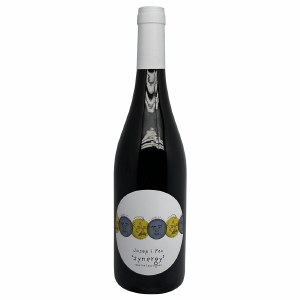 Josep i Pau Synergy Cabernet Sauvignon 2019