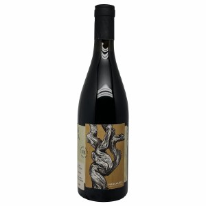 Salia Manchuela 2021