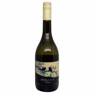 Evolucio Dry Furmint 2022