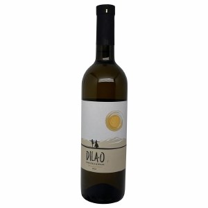 Dila O Rkatsitelli Mtsvane 2023