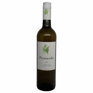 Protocolo Blanco 2023