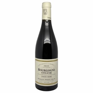 Pierre Gelin Bourgogne 2023