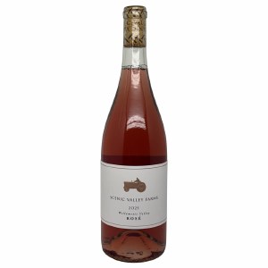 Scenic Valley Farms Rose 2024