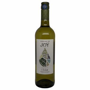 Joy Cotes de Gascogne 2025