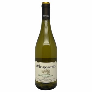 Morgadio Albarino 2025