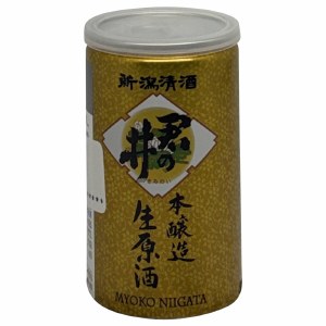 Kiminoi EW Honjozo Can 200ml