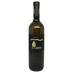 Il Carpino Malvasia 2016