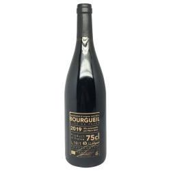 Clos de Pavee Bourguiel 2019