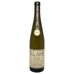 Illahe Gruner Veltliner 2022