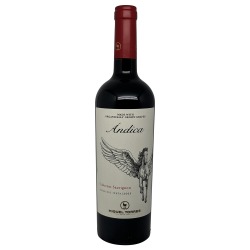 Miguel Torres Andica Cabernet Sauvignon 2022