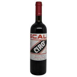 Scala Ciro Rosso 2024