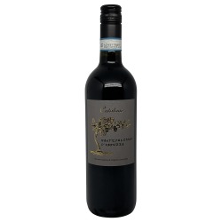 Catalano Montepulciano 2023