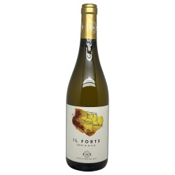 Il Forte Gavi 2023
