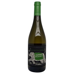 L'Elephant Blanc 2023