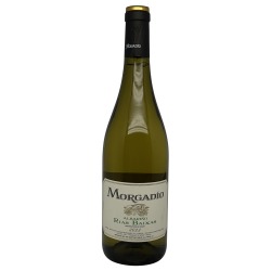 Morgadio Albarino 2023