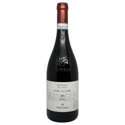 Nicosia Frapato 2023