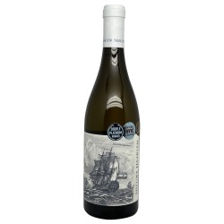 Nieuwe Chenin Blanc 2023