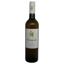 Protocolo Blanco 2023